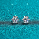 D Color Moissanite Screwback Örhängen i 925 Silver
