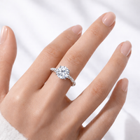 <tc>Ring Ljusets gloria – En tidlös glans</tc>