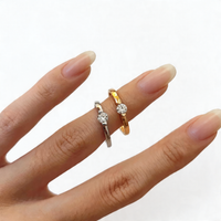 <tc>Ring Glanspunkt – Skönhet i suspension</tc>