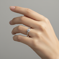 <tc>Roterande Stjärnfall-ring – Ett glimmande i rörelse</tc>