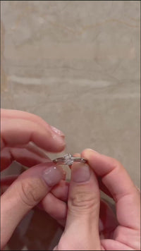 <tc>Roterande Stjärnfall-ring – Ett glimmande i rörelse</tc>